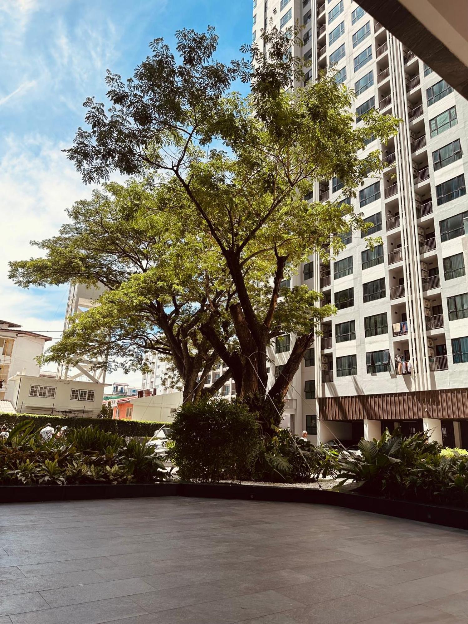 The Base Apartments At Central Pattaya Eksteriør bilde